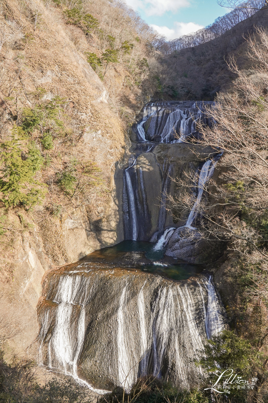 茨城自由行, 福島自由行, 栃木自由行, 茨城行程規劃, 福島行程規劃, 栃木行程規劃, 茨城景點推薦, 福島景點推薦, 栃木景點推薦, 茨城懶人包, 福島懶人包, 栃木懶人包, 茨城機場, グランベリー大地, 高架草莓園, 水戶偕樂園, 大洗磯前神社, 大洗明太子主題公園, めんたいパーク大洗, 大洗水族館, アクアワールド大洗, 地瓜神社, 國營常陸海濱公園, 常陸太田市龍神大吊橋, 竜神大吊橋, 大子町袋田瀑布, 袋田の滝, 白河達摩樂園, JR新白河駅站, 福島大內宿, 那須高原, 南ヶ丘牧場, 那須彩繪玻璃美術館, The Cheese Garden那須本店, 御用邸起司蛋糕, だるまランド