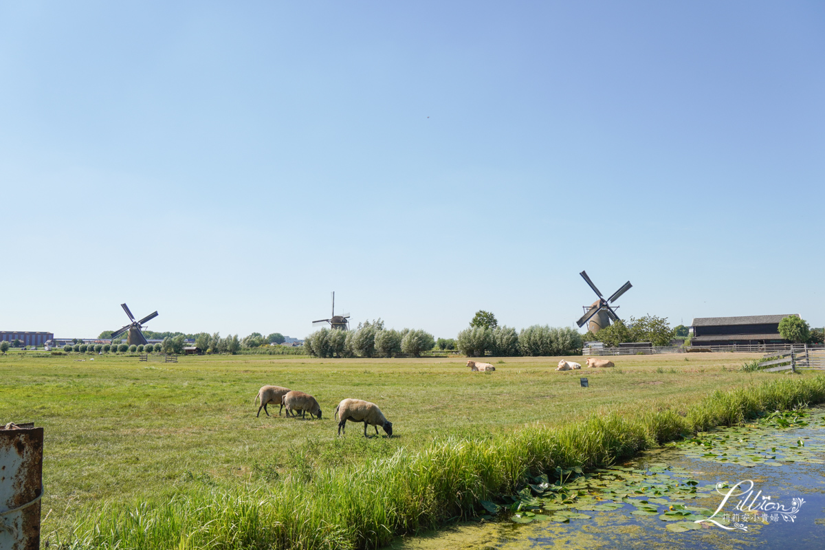 小孩堤防, Kinderijk, 鹿特丹景點推薦, 荷蘭世界遺產, 鹿特丹小孩堤防, 小孩堤防交通, 小孩堤防行程規劃, 小孩堤防一日遊, 小孩堤防水上巴士, 小孩堤防風車, 荷蘭風車, 小孩堤防船班時間, 小孩堤防歷史, 荷蘭景點推薦, 小孩堤防門票, 箱型房, 荷蘭, 鹿特丹景點推薦, 鹿特丹, 荷蘭旅遊, 鹿特丹景點, 荷蘭旅行, 荷蘭旅遊費用, 鹿特丹必去, 荷蘭之旅, 荷蘭深度旅遊, 鹿特丹旅遊, 荷蘭旅遊推薦, 荷蘭旅遊行程, 荷蘭鹿特丹景點, 鹿特丹旅遊景點, 荷蘭自由行