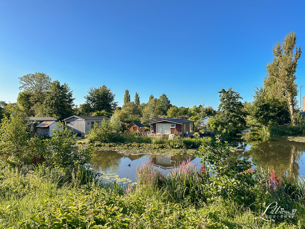 小孩堤防, Kinderdijk, 荷蘭自助旅行, 小孩堤防交通方式, 小孩堤防搭船, 鹿特丹熱門推薦景點, 伊拉斯謨橋, Erasmusbrug, Halte Erasmusbrug碼頭, 小孩堤防水上巴士, 鹿特丹水上巴士, 荷蘭, 鹿特丹景點推薦, 鹿特丹, 荷蘭旅遊, 鹿特丹景點, 荷蘭旅行, 荷蘭旅遊費用, 鹿特丹必去, 荷蘭之旅, 荷蘭深度旅遊, 鹿特丹旅遊, 荷蘭旅遊推薦, 荷蘭旅遊行程, 荷蘭鹿特丹景點, 鹿特丹旅遊景點, 荷蘭自由行