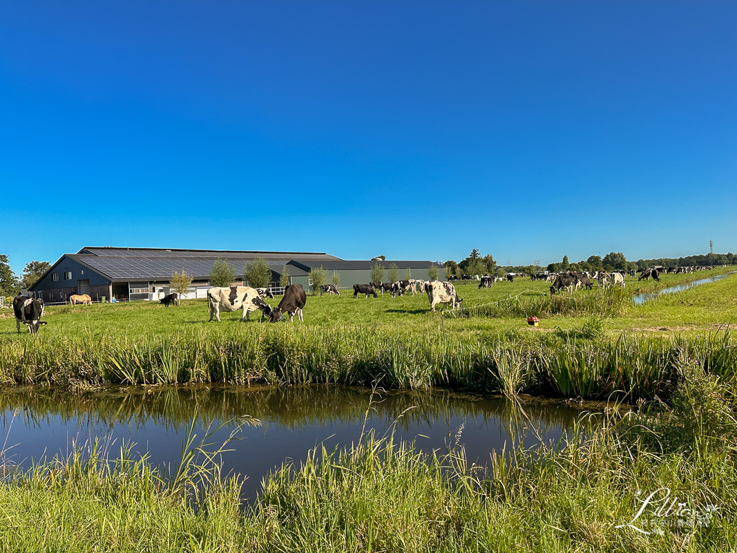 小孩堤防, Kinderdijk, 荷蘭自助旅行, 小孩堤防交通方式, 小孩堤防搭船, 鹿特丹熱門推薦景點, 伊拉斯謨橋, Erasmusbrug, Halte Erasmusbrug碼頭, 小孩堤防水上巴士, 鹿特丹水上巴士, 荷蘭, 鹿特丹景點推薦, 鹿特丹, 荷蘭旅遊, 鹿特丹景點, 荷蘭旅行, 荷蘭旅遊費用, 鹿特丹必去, 荷蘭之旅, 荷蘭深度旅遊, 鹿特丹旅遊, 荷蘭旅遊推薦, 荷蘭旅遊行程, 荷蘭鹿特丹景點, 鹿特丹旅遊景點, 荷蘭自由行