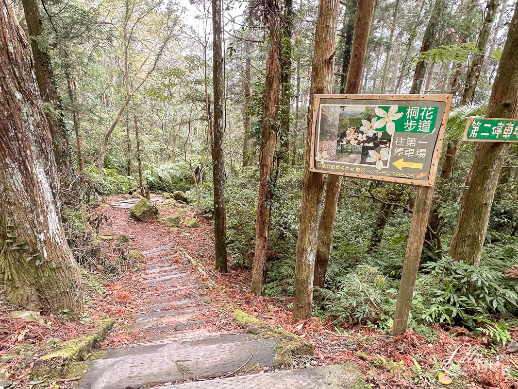 新竹親子推薦景點, 馬武督探索森林, 新竹推薦景點, 新竹親子步道, 新竹森林步道推薦, 親子登山, 關西景點推薦, 新竹親子爬山, 親子步道北部, 綠光小學