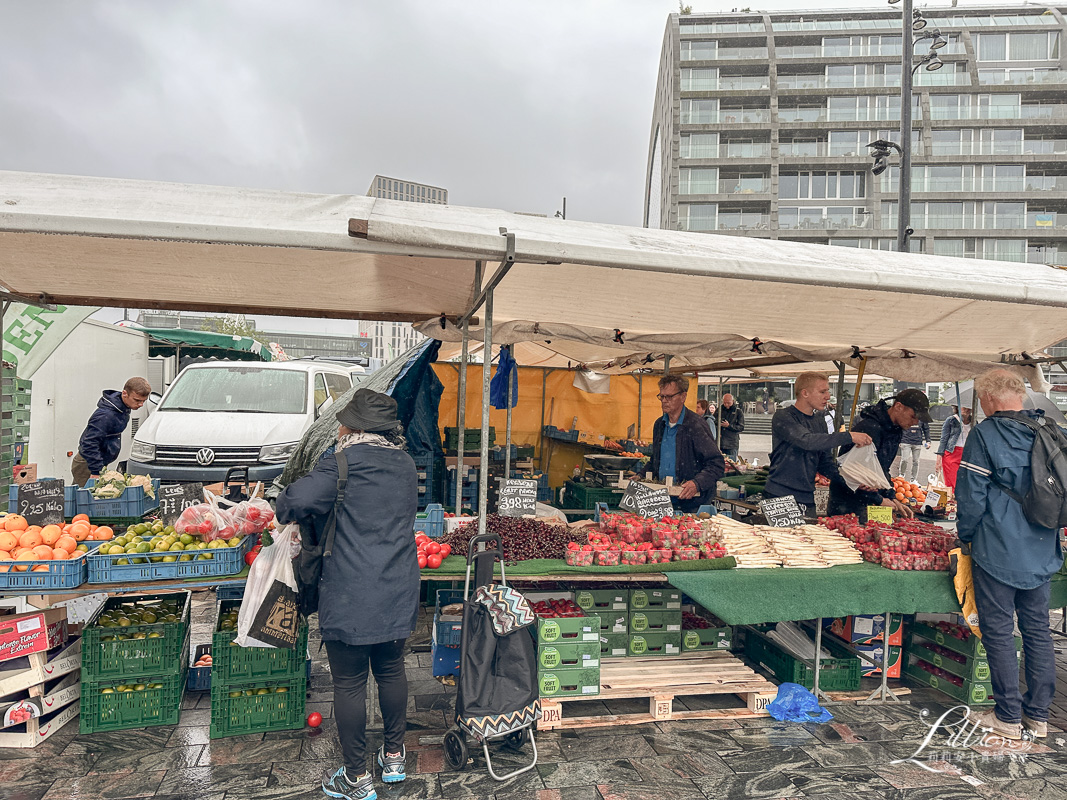 鹿特丹Markthal市場廣場, 鹿特丹Markthal, Markthal Rotterdam, Markthal營業時間, 鹿特丹市場必吃, 鹿特丹景點地圖, 鹿特丹景點推薦, 鹿特丹水管屋, 鹿特丹鉛筆屋, 荷蘭生鯡魚, 鹿特丹Blaak火車站