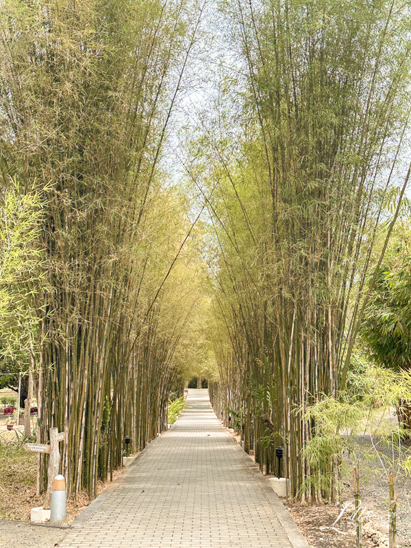 薄荷島攻略, 薄荷島自由行, 宿霧薄荷島, 菲律賓必去景點, 宿霧自由行, 薄荷島旅遊攻略, 薄荷島怎麼玩, 薄荷島住宿推薦, 薄荷島一日遊, 菲律賓住宿推薦, 邦勞島水藍度假村, Bluewater Panglao Resort, 邦勞島海景渡假飯店, 薄荷島海景渡假飯店, 薄荷島海景飯店推薦, Alona Beach, 菲律賓薄荷島旅遊地圖