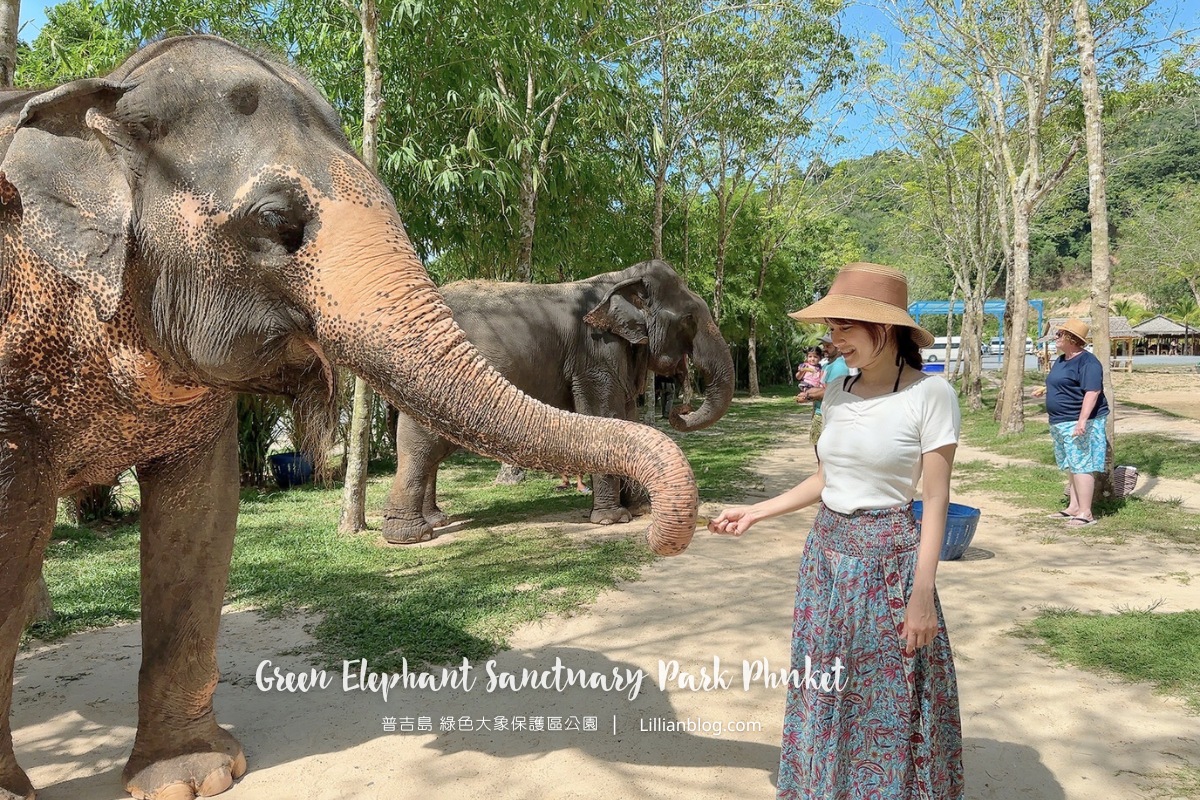 延伸閱讀：泰國普吉島自由行景點推薦：綠色大象保護區公園Green Elephant Sanctuary Park Phuket，餵大象吃東西、與大象洗泥巴浴，普吉島獨特的景點推薦