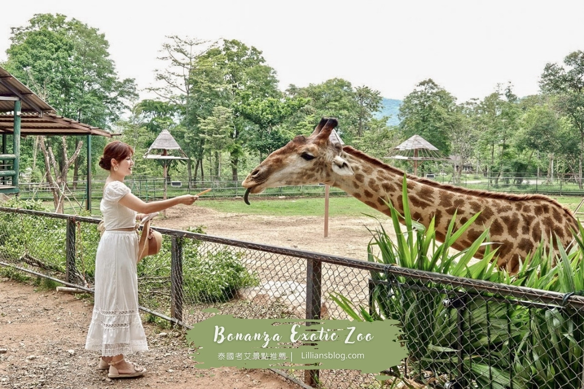 網站近期文章：泰國考艾景點：Bonanza Exotic Zoo動物園，泰國親子自由行景點推薦