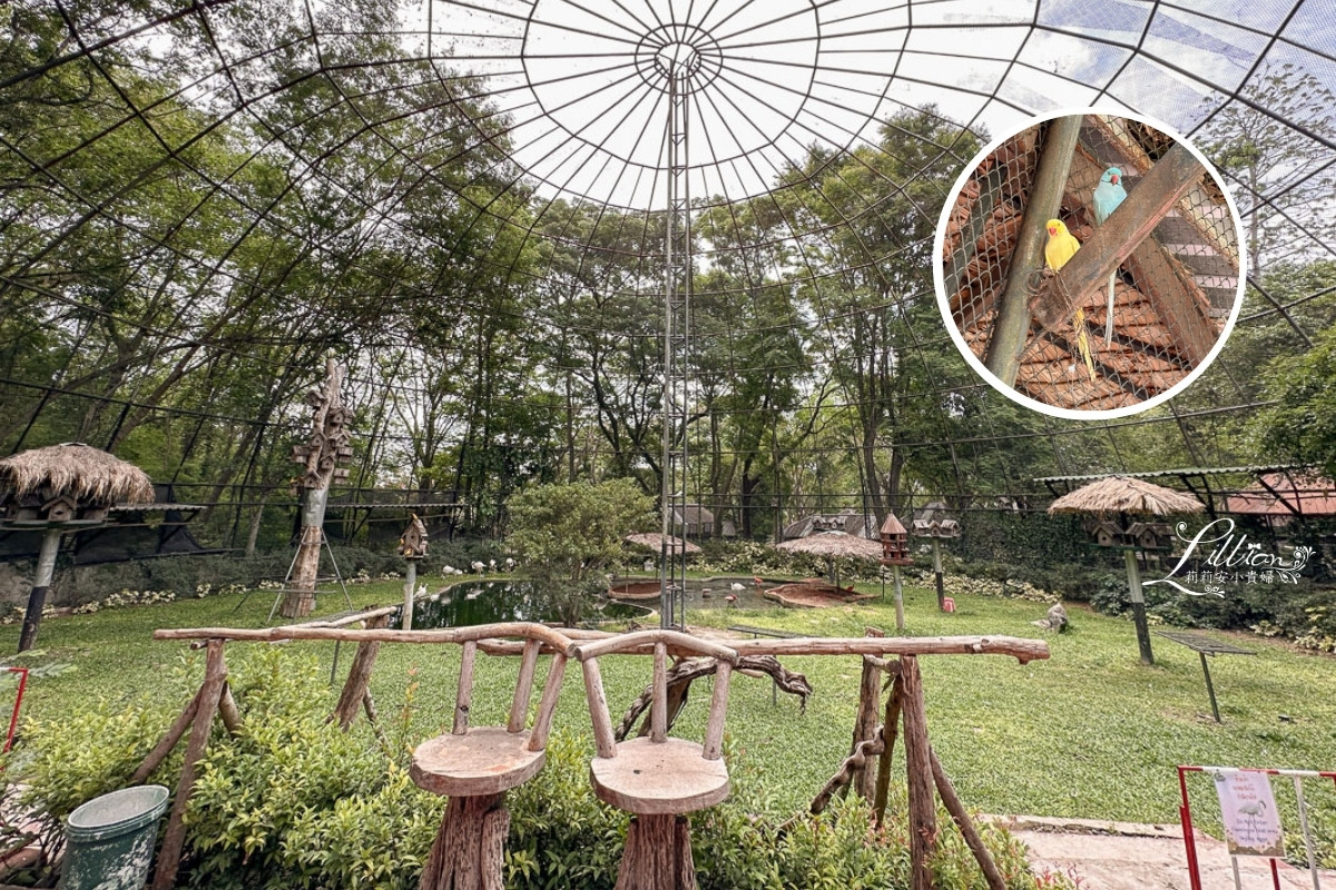 考艾自由行, 考艾國家公園, khao yai, 考艾, 考艾景點, 泰國考艾, 泰國親子自由行, Bonanza Exotic Zoo, 考艾動物園