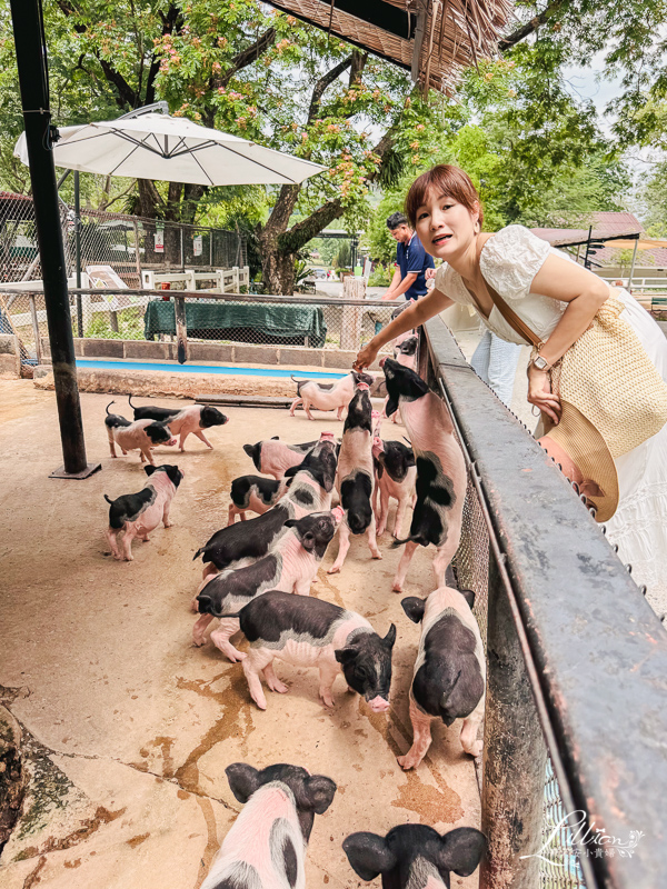 考艾自由行, 考艾國家公園, khao yai, 考艾, 考艾景點, 泰國考艾, 泰國親子自由行, Bonanza Exotic Zoo, 考艾動物園