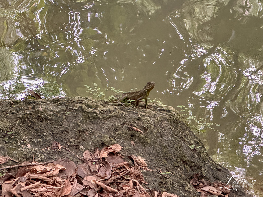 考艾景點, 曼谷近郊景點, 泰國考艾, 考艾, khao yai, 考艾國家公園, 考艾國家公園, 七少女瀑布, Chet Sao Noi Waterfall