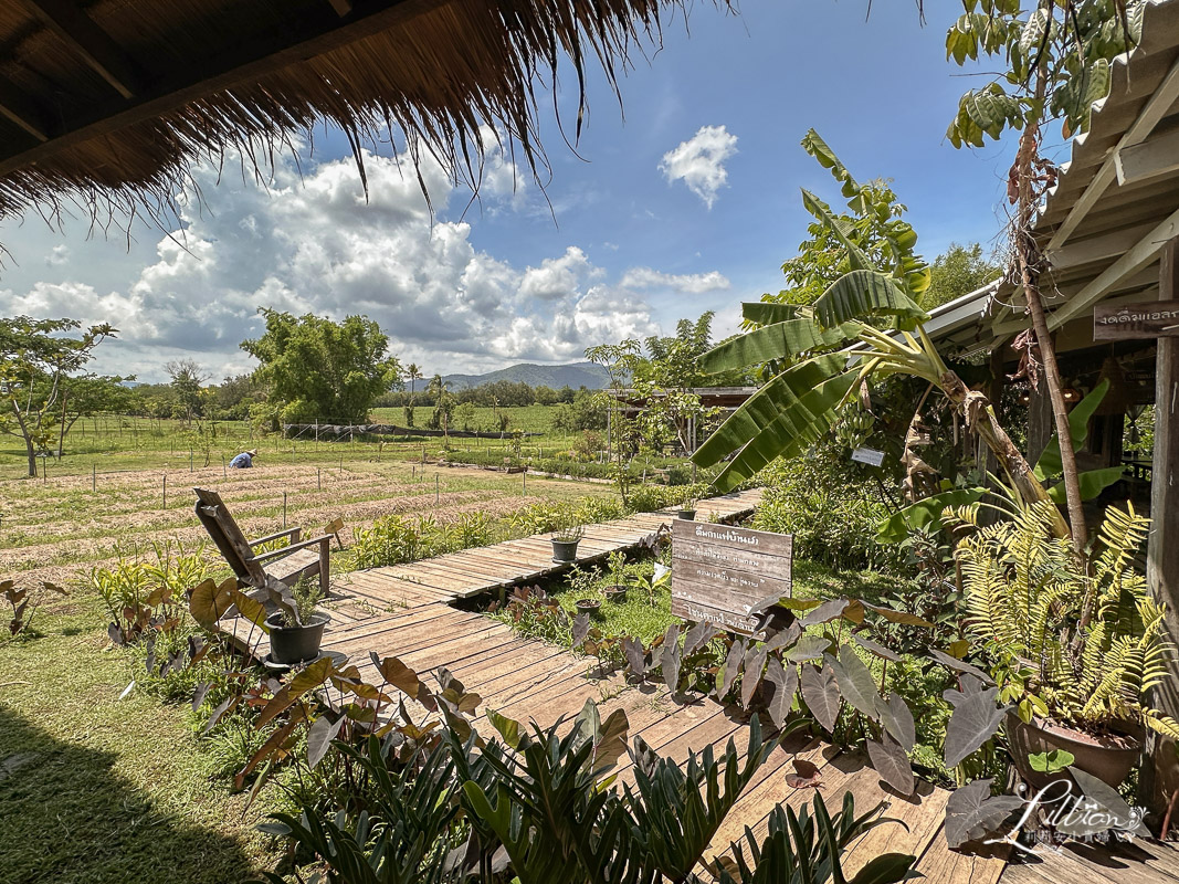 考艾自由行, 考艾國家公園, khao yai, 考艾, 考艾美食, 泰國考艾, 泰國親子自由行, 考艾美食推薦, Tawe farm Khaoyai, 考艾餐廳推薦