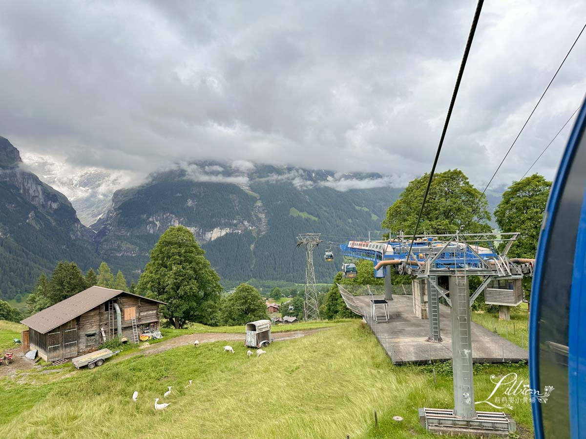 少女峰,少女峰景點,格林德瓦,格林德瓦景點推薦,瑞士,菲斯特山