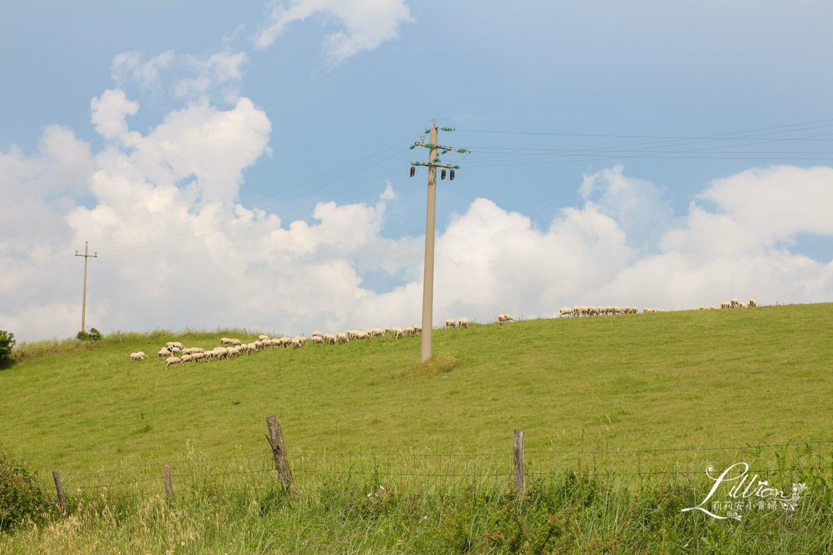Pienza,Toscana,Tusany,Val D'orcia奧爾恰山谷,佛羅倫斯,意大利,托斯卡尼,托斯卡尼必遊景點,托斯卡尼旅遊,托斯卡尼景點推薦,托斯卡尼自助旅行,托斯卡尼自助游,托斯卡尼自助行程,托斯卡尼行程,托斯卡尼親子自助旅行,旅行,絲柏之路,義大利,義大利托斯卡尼,義大利親子自助旅行
