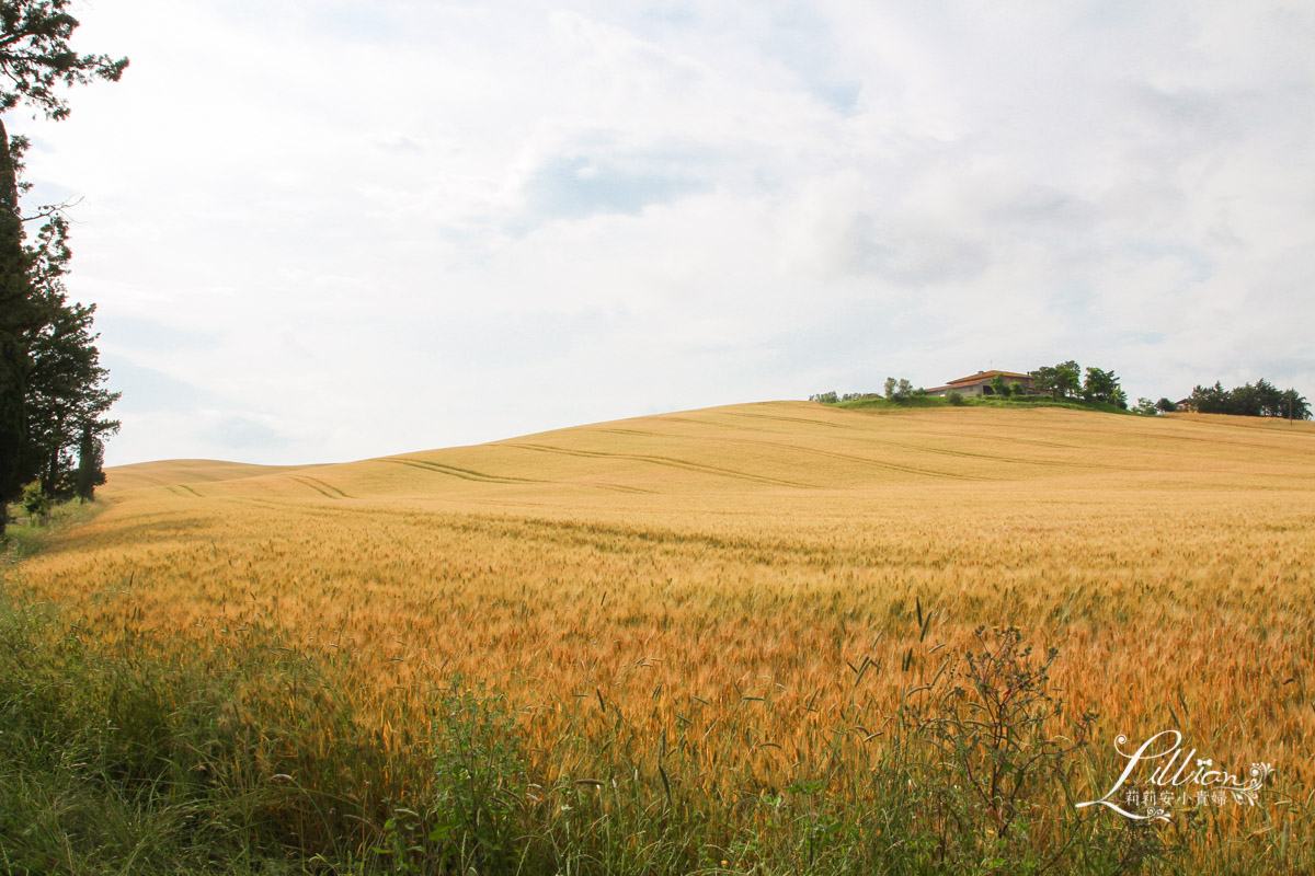 Pienza,Toscana,Tusany,Val D'orcia奧爾恰山谷,佛羅倫斯,意大利,托斯卡尼,托斯卡尼必遊景點,托斯卡尼旅遊,托斯卡尼景點推薦,托斯卡尼自助旅行,托斯卡尼自助游,托斯卡尼自助行程,托斯卡尼行程,托斯卡尼親子自助旅行,旅行,絲柏之路,義大利,義大利托斯卡尼,義大利親子自助旅行