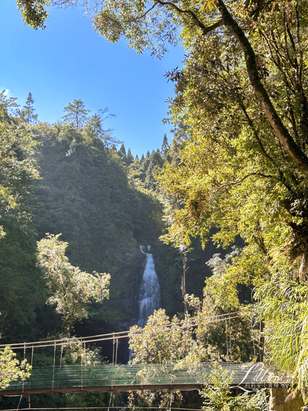 杉林溪, 杉林溪森林生態渡假園區, 杉林溪森林遊樂園, 杉林溪門票, 杉林溪住宿推薦, 衫林溪衫, 南投杉林溪, 杉林溪大飯店, 南投景點推薦