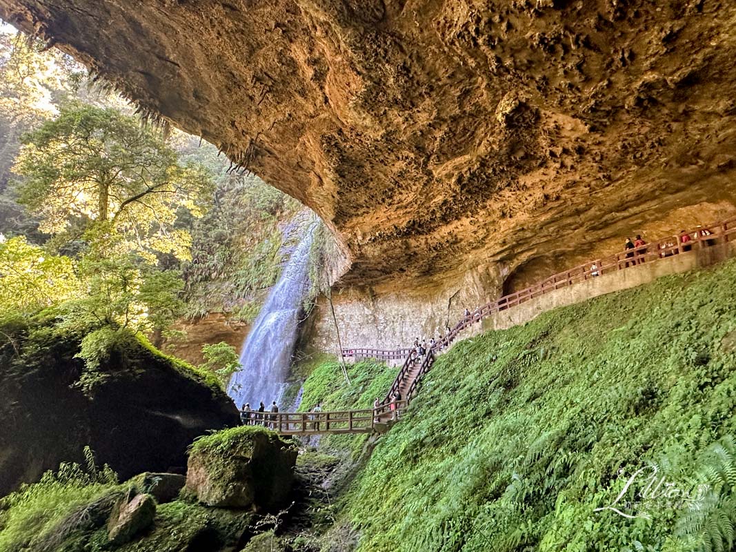 杉林溪, 杉林溪森林生態渡假園區, 杉林溪森林遊樂園, 杉林溪門票, 杉林溪住宿推薦, 衫林溪衫, 南投杉林溪, 杉林溪大飯店, 南投景點推薦