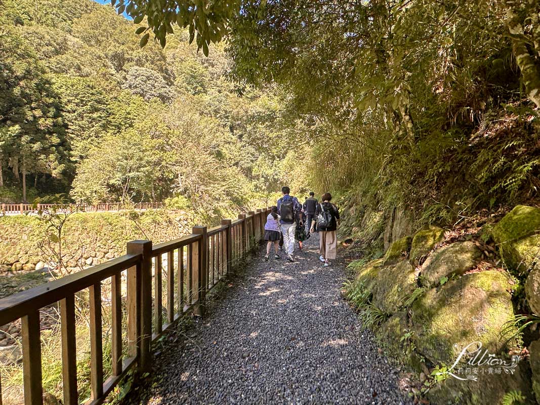 杉林溪, 杉林溪森林生態渡假園區, 杉林溪森林遊樂園, 杉林溪門票, 杉林溪住宿推薦, 衫林溪衫, 南投杉林溪, 杉林溪大飯店, 南投景點推薦