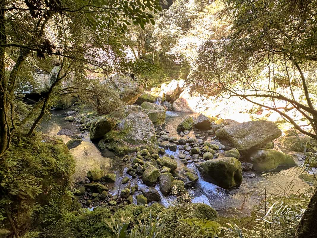 杉林溪, 杉林溪森林生態渡假園區, 杉林溪森林遊樂園, 杉林溪門票, 杉林溪住宿推薦, 衫林溪衫, 南投杉林溪, 杉林溪大飯店, 南投景點推薦