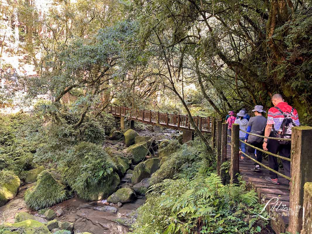 杉林溪, 杉林溪森林生態渡假園區, 杉林溪森林遊樂園, 杉林溪門票, 杉林溪住宿推薦, 衫林溪衫, 南投杉林溪, 杉林溪大飯店, 南投景點推薦