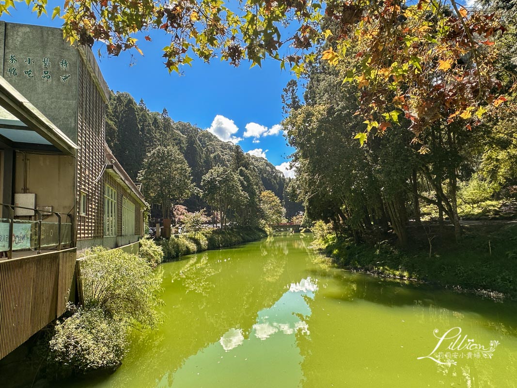杉林溪, 杉林溪森林生態渡假園區, 杉林溪森林遊樂園, 杉林溪門票, 杉林溪住宿推薦, 衫林溪衫, 南投杉林溪, 杉林溪大飯店, 南投景點推薦