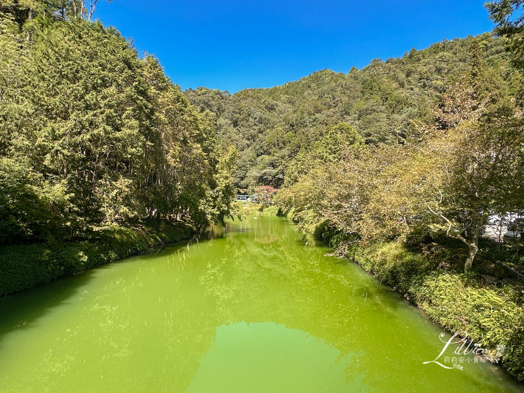 杉林溪, 杉林溪森林生態渡假園區, 杉林溪森林遊樂園, 杉林溪門票, 杉林溪住宿推薦, 衫林溪衫, 南投杉林溪, 杉林溪大飯店, 南投景點推薦