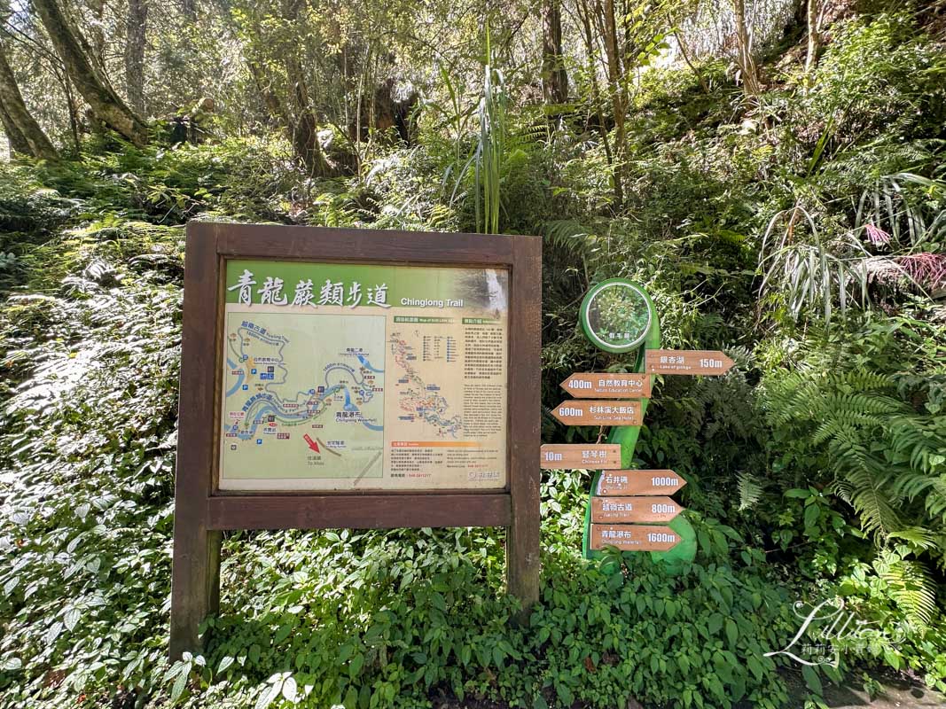 杉林溪, 杉林溪森林生態渡假園區, 杉林溪森林遊樂園, 杉林溪門票, 杉林溪住宿推薦, 衫林溪衫, 南投杉林溪, 杉林溪大飯店, 南投景點推薦