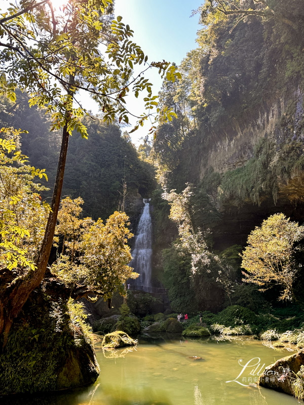 杉林溪, 杉林溪森林生態渡假園區, 杉林溪森林遊樂園, 杉林溪門票, 杉林溪住宿推薦, 衫林溪衫, 南投杉林溪, 杉林溪大飯店, 南投景點推薦