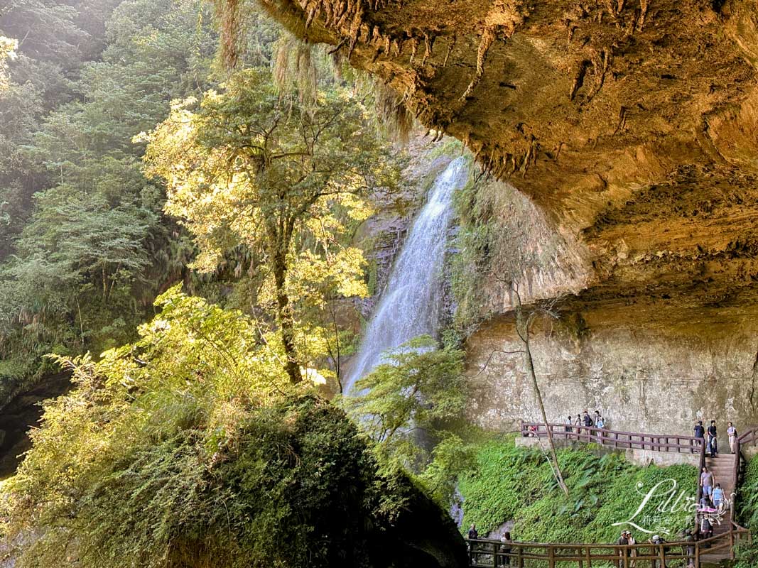 杉林溪, 杉林溪森林生態渡假園區, 杉林溪森林遊樂園, 杉林溪門票, 杉林溪住宿推薦, 衫林溪衫, 南投杉林溪, 杉林溪大飯店, 南投景點推薦