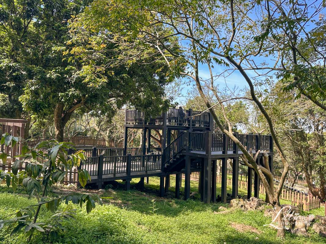 台中親子景點, 台中親子景點戶外, 台中親子景點免費, 大坑步道, 大坑一號登山步道, 大坑 1號步道, 大坑一號步道走多久, 大坑1號步道停車場, 大坑1號步道體能訓練場, 森林探索,  體能訓練場, 台中體能訓練場