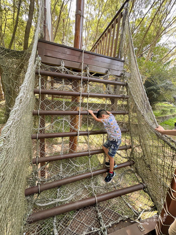 台中親子景點, 台中親子景點戶外, 台中親子景點免費, 大坑步道, 大坑一號登山步道, 大坑 1號步道, 大坑一號步道走多久, 大坑1號步道停車場, 大坑1號步道體能訓練場, 森林探索,  體能訓練場, 台中體能訓練場