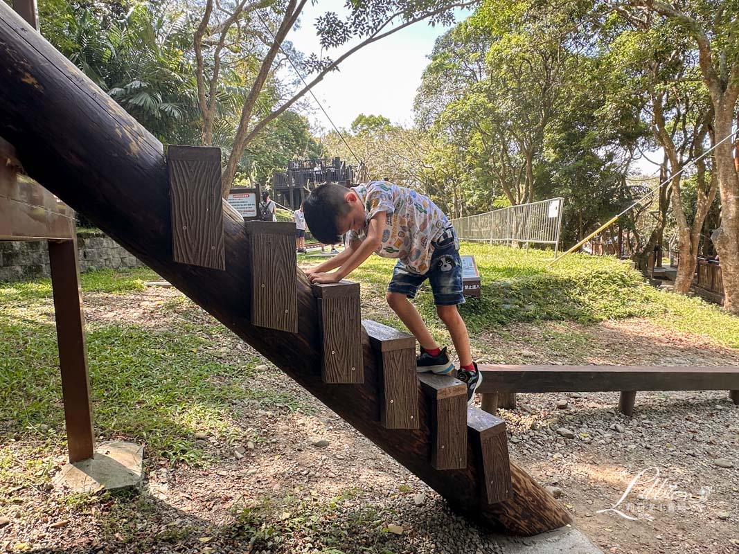 台中親子景點, 台中親子景點戶外, 台中親子景點免費, 大坑步道, 大坑一號登山步道, 大坑 1號步道, 大坑一號步道走多久, 大坑1號步道停車場, 大坑1號步道體能訓練場, 森林探索,  體能訓練場, 台中體能訓練場