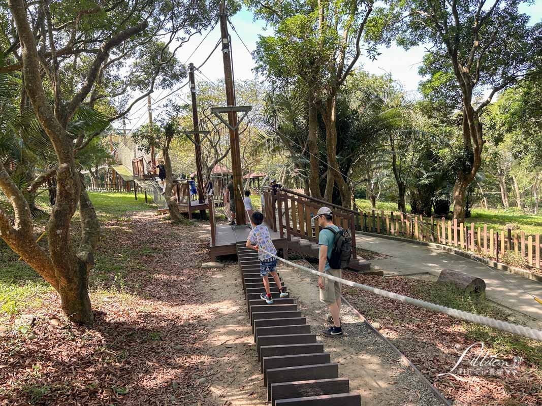 台中親子景點, 台中親子景點戶外, 台中親子景點免費, 大坑步道, 大坑一號登山步道, 大坑 1號步道, 大坑一號步道走多久, 大坑1號步道停車場, 大坑1號步道體能訓練場, 森林探索,  體能訓練場, 台中體能訓練場