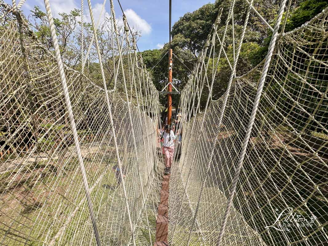 台中親子景點, 台中親子景點戶外, 台中親子景點免費, 大坑步道, 大坑一號登山步道, 大坑 1號步道, 大坑一號步道走多久, 大坑1號步道停車場, 大坑1號步道體能訓練場, 森林探索,  體能訓練場, 台中體能訓練場