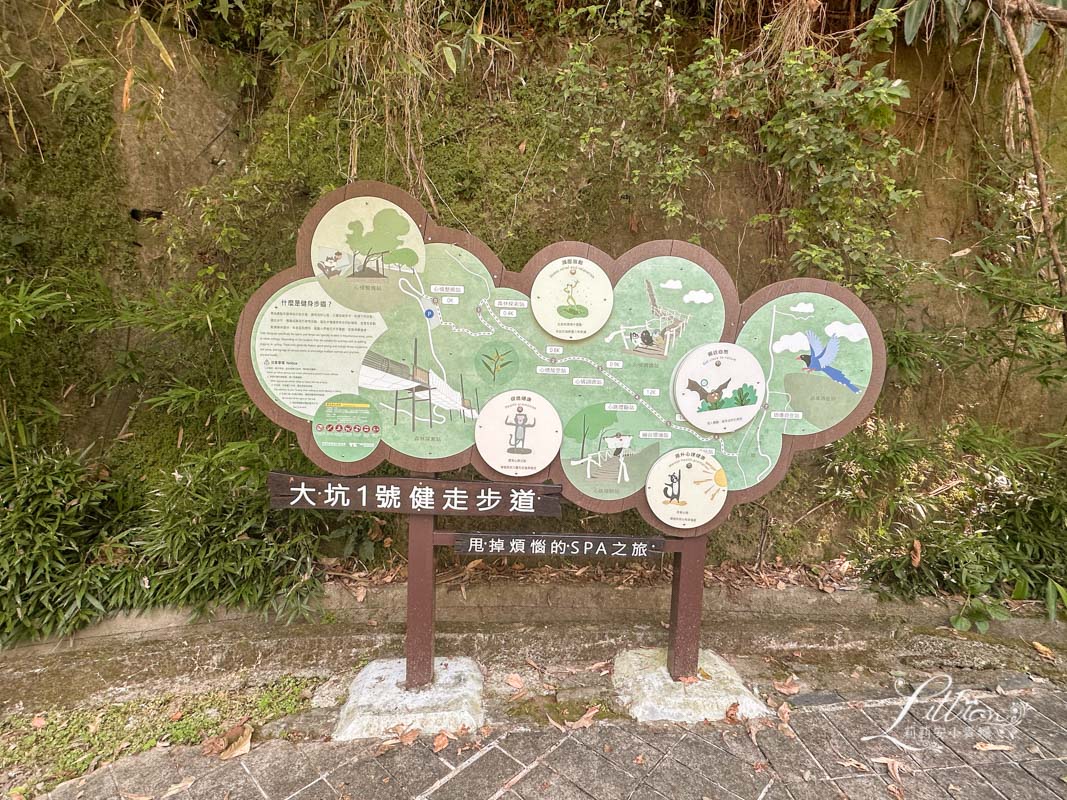 台中親子景點, 台中親子景點戶外, 台中親子景點免費, 大坑步道, 大坑一號登山步道, 大坑 1號步道, 大坑一號步道走多久, 大坑1號步道停車場, 大坑1號步道體能訓練場, 森林探索,  體能訓練場, 台中體能訓練場
