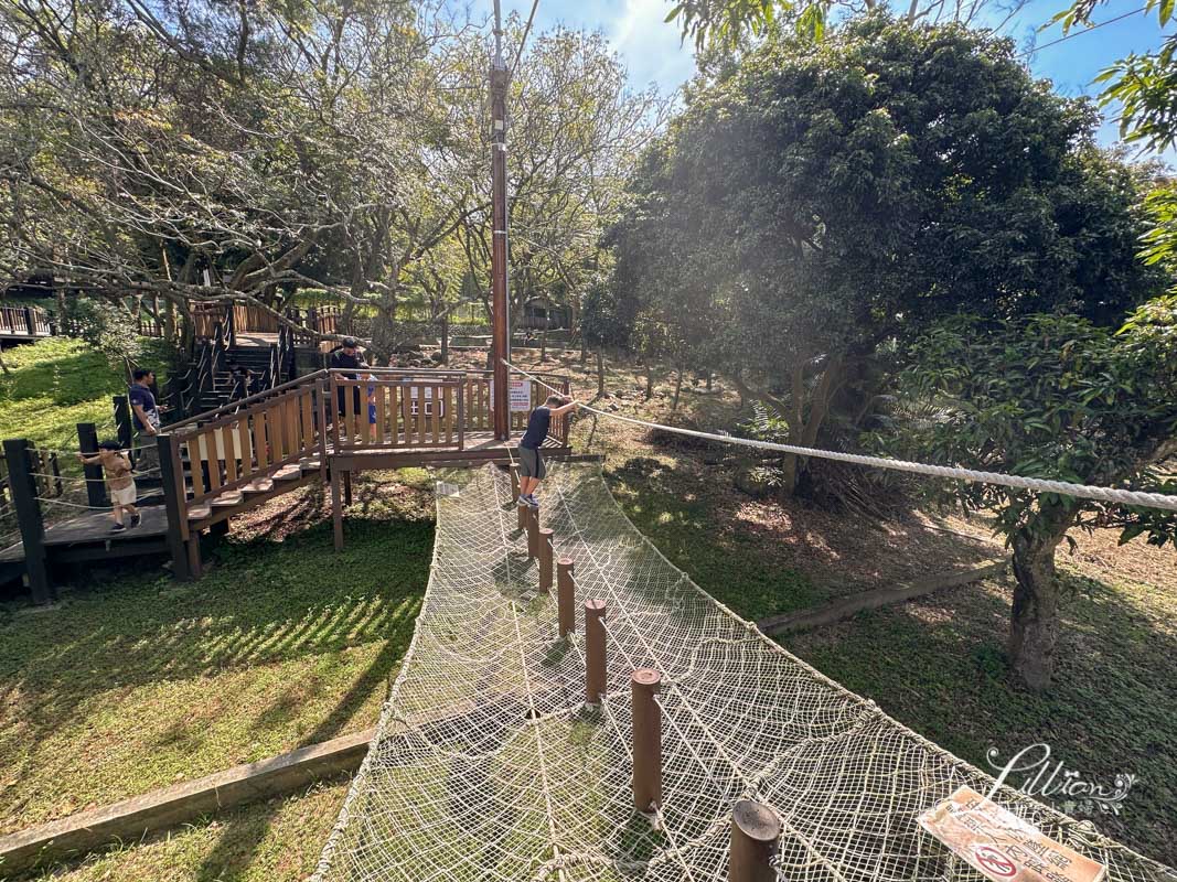 台中親子景點, 台中親子景點戶外, 台中親子景點免費, 大坑步道, 大坑一號登山步道, 大坑 1號步道, 大坑一號步道走多久, 大坑1號步道停車場, 大坑1號步道體能訓練場, 森林探索,  體能訓練場, 台中體能訓練場