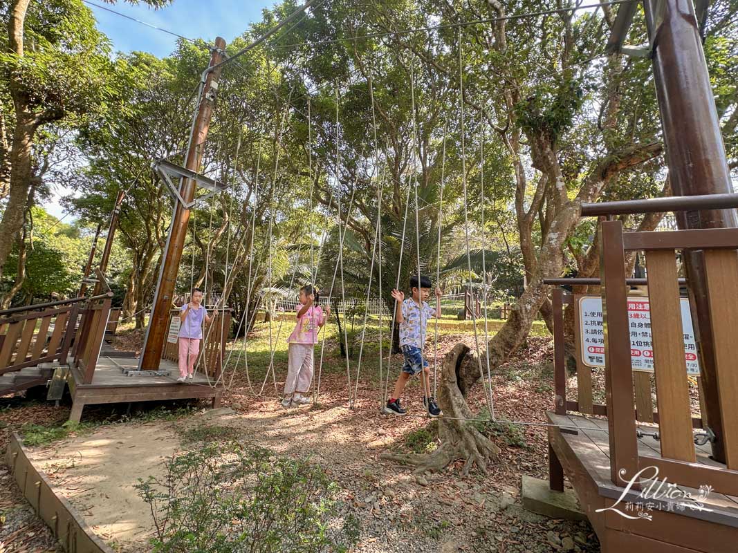 台中親子景點, 台中親子景點戶外, 台中親子景點免費, 大坑步道, 大坑一號登山步道, 大坑 1號步道, 大坑一號步道走多久, 大坑1號步道停車場, 大坑1號步道體能訓練場, 森林探索,  體能訓練場, 台中體能訓練場