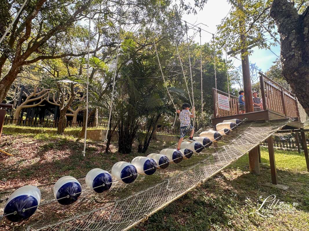 台中親子景點, 台中親子景點戶外, 台中親子景點免費, 大坑步道, 大坑一號登山步道, 大坑 1號步道, 大坑一號步道走多久, 大坑1號步道停車場, 大坑1號步道體能訓練場, 森林探索,  體能訓練場, 台中體能訓練場