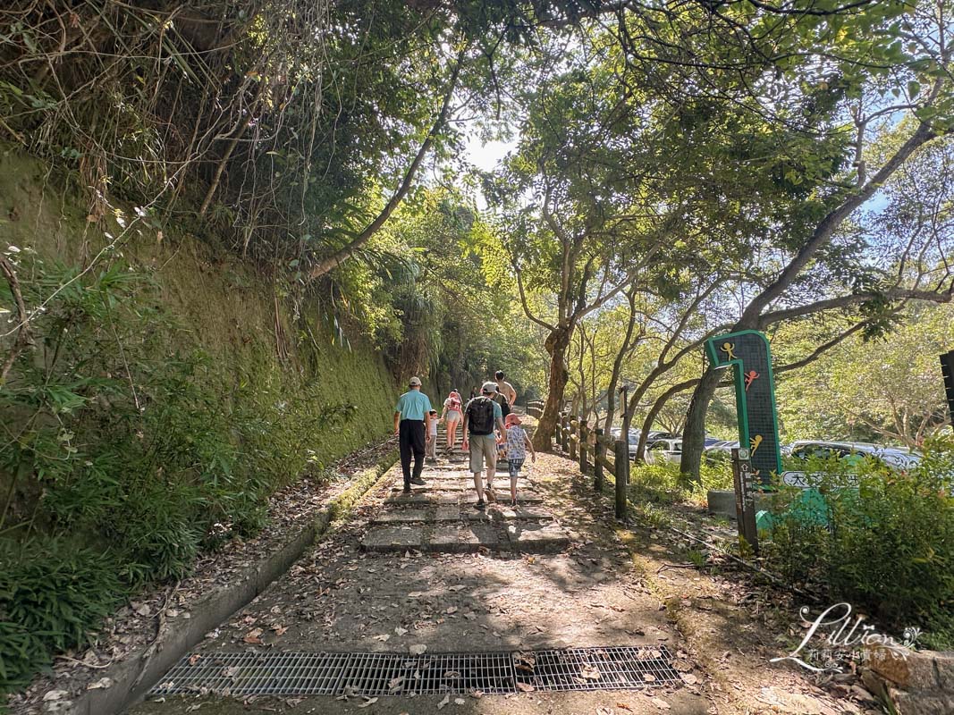 台中親子景點, 台中親子景點戶外, 台中親子景點免費, 大坑步道, 大坑一號登山步道, 大坑 1號步道, 大坑一號步道走多久, 大坑1號步道停車場, 大坑1號步道體能訓練場, 森林探索,  體能訓練場, 台中體能訓練場