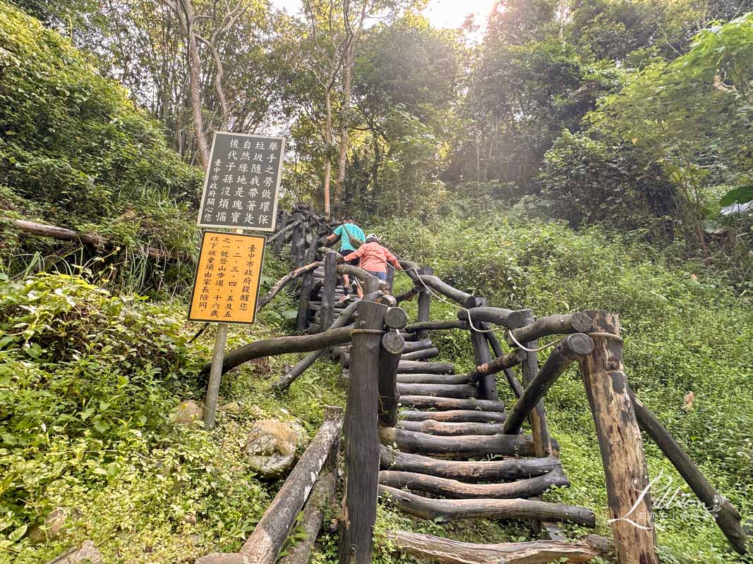台中親子景點, 台中親子景點戶外, 台中親子景點免費, 大坑步道, 大坑一號登山步道, 大坑 1號步道, 大坑一號步道走多久, 大坑1號步道停車場, 大坑1號步道體能訓練場, 森林探索,  體能訓練場, 台中體能訓練場