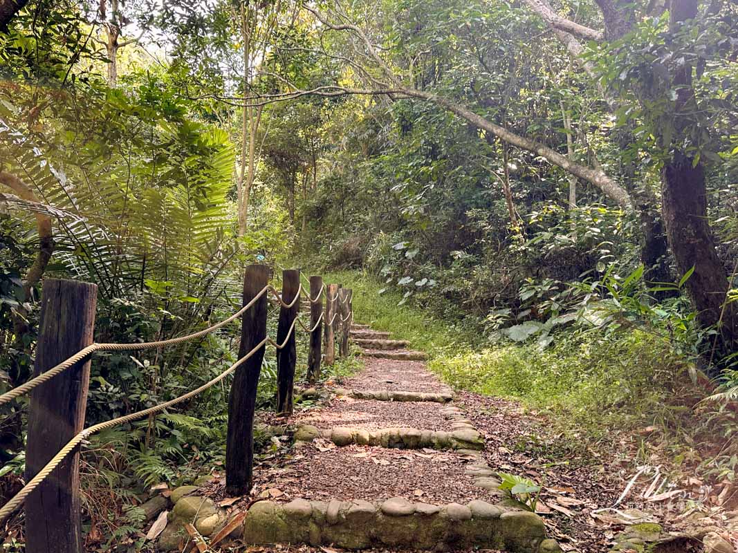 台中親子景點, 台中親子景點戶外, 台中親子景點免費, 大坑步道, 大坑一號登山步道, 大坑 1號步道, 大坑一號步道走多久, 大坑1號步道停車場, 大坑1號步道體能訓練場, 森林探索,  體能訓練場, 台中體能訓練場