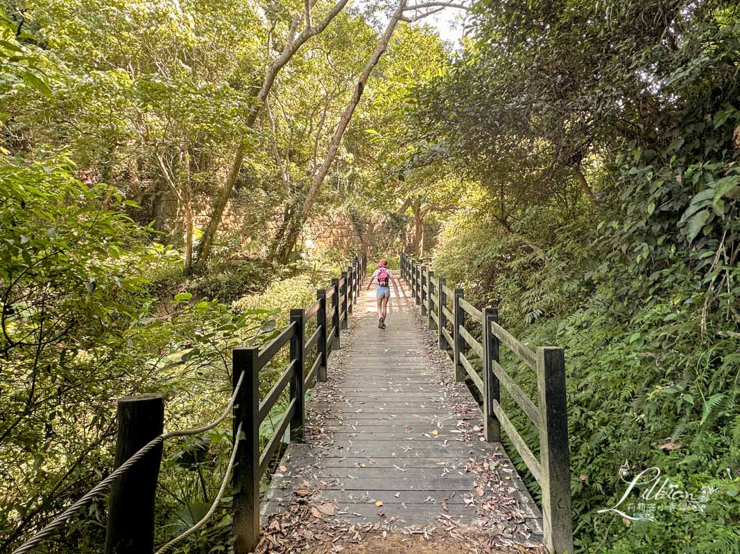 台中親子景點, 台中親子景點戶外, 台中親子景點免費, 大坑步道, 大坑一號登山步道, 大坑 1號步道, 大坑一號步道走多久, 大坑1號步道停車場, 大坑1號步道體能訓練場, 森林探索,  體能訓練場, 台中體能訓練場