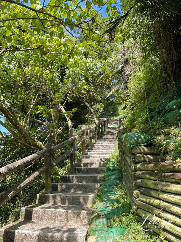 台中親子景點, 台中親子景點戶外, 台中親子景點免費, 大坑步道, 大坑一號登山步道, 大坑 1號步道, 大坑一號步道走多久, 大坑1號步道停車場, 大坑1號步道體能訓練場, 森林探索,  體能訓練場, 台中體能訓練場