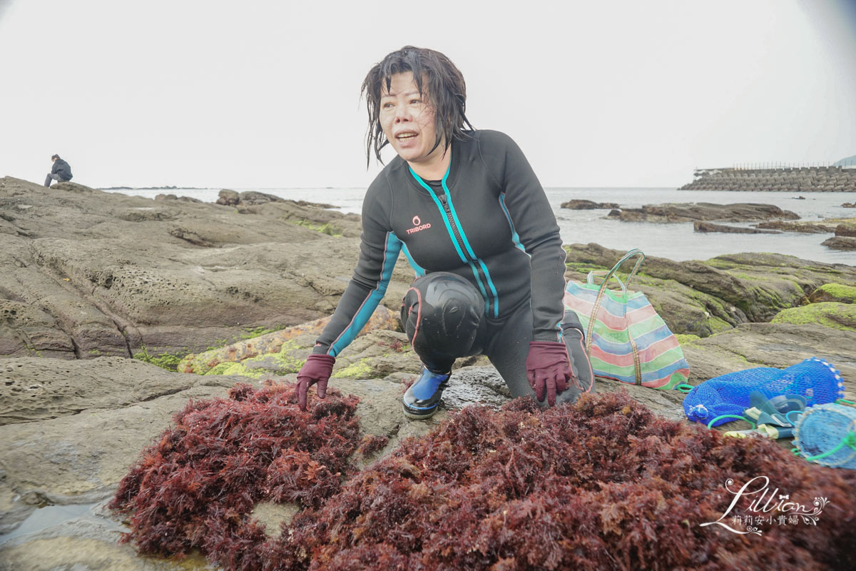 新北景點推薦, 貢寮景點推薦, 開蘭小旅行, 遇見雞母嶺, 淡蘭古道, 阿松檳榔烘焙坊, 山藥米蛋糕, 石花菜, 一八九漁舖, 食魚教育, 澳底漁港, 貢寮美食, 澳底, 貢寮一日遊, 貢寮秘境, 貢寮美食推薦