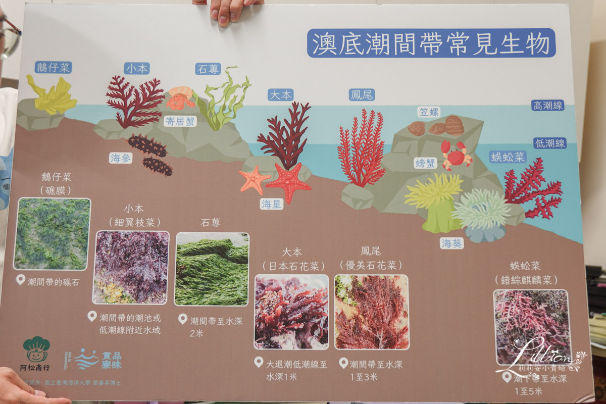 新北景點推薦, 貢寮景點推薦, 開蘭小旅行, 遇見雞母嶺, 淡蘭古道, 阿松檳榔烘焙坊, 山藥米蛋糕, 石花菜, 一八九漁舖, 食魚教育, 澳底漁港, 貢寮美食, 澳底, 貢寮一日遊, 貢寮秘境, 貢寮美食推薦