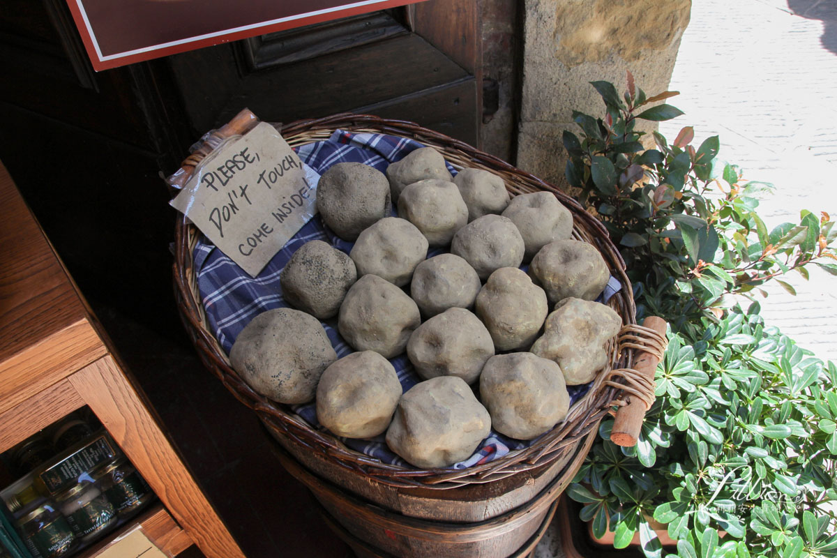 托斯卡尼, gimignano, 聖吉米納諾, 佛羅倫斯景點, 義大利托斯卡尼, 義大利托斯卡納, 義大利自由行, 托斯卡尼推薦景點, 義大利推薦景點, 托斯卡尼, 佛羅倫斯, 佛羅倫斯景點, 義大利托斯卡尼, 義大利托斯卡納, 義大利自由行