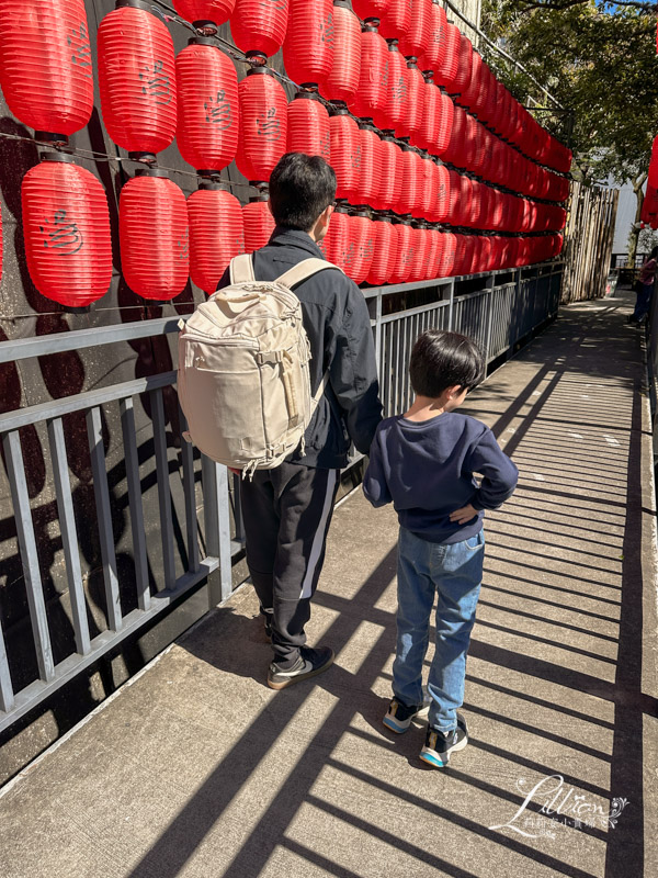 行李箱, 行李箱尺寸, 行李箱推薦, 20吋行李箱, 26吋行李箱, 28吋行李箱, 旅行箱, 前開式行李箱, 旅行箱推薦, 旅行壓縮袋, 旅行壓縮袋推薦, 衣物壓縮袋, 旅行用壓縮袋, 後背包 28 L