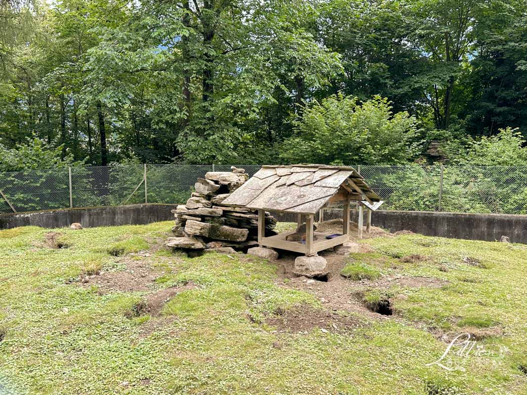 哈德昆登山纜車, 哈德昆觀景台, Harder Kulm, Harderbahn, 因特拉肯, interlaken ost, interlaken west, 茵特拉根, 瑞士旅遊, 瑞士自由行, 瑞士景點, 瑞士旅行通行證, 圖恩湖, Thunersee, 布里恩茨湖, Brienzersee, Alpine Wildlife Park Interlaken, 阿爾卑斯山土撥鼠