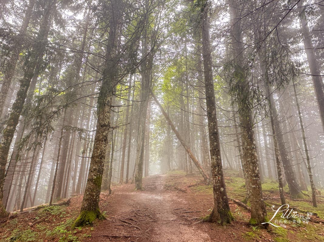 哈德昆登山纜車, 哈德昆觀景台, Harder Kulm, Harderbahn, 因特拉肯, interlaken ost, interlaken west, 茵特拉根, 瑞士旅遊, 瑞士自由行, 瑞士景點, 瑞士旅行通行證, 圖恩湖, Thunersee, 布里恩茨湖, Brienzersee