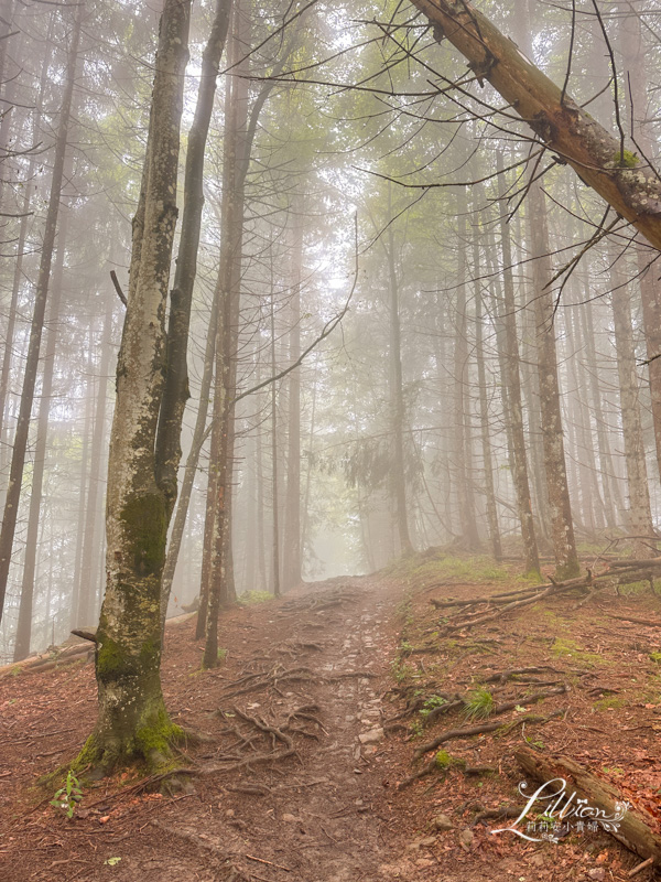 哈德昆登山纜車, 哈德昆觀景台, Harder Kulm, Harderbahn, 因特拉肯, interlaken ost, interlaken west, 茵特拉根, 瑞士旅遊, 瑞士自由行, 瑞士景點, 瑞士旅行通行證, 圖恩湖, Thunersee, 布里恩茨湖, Brienzersee
