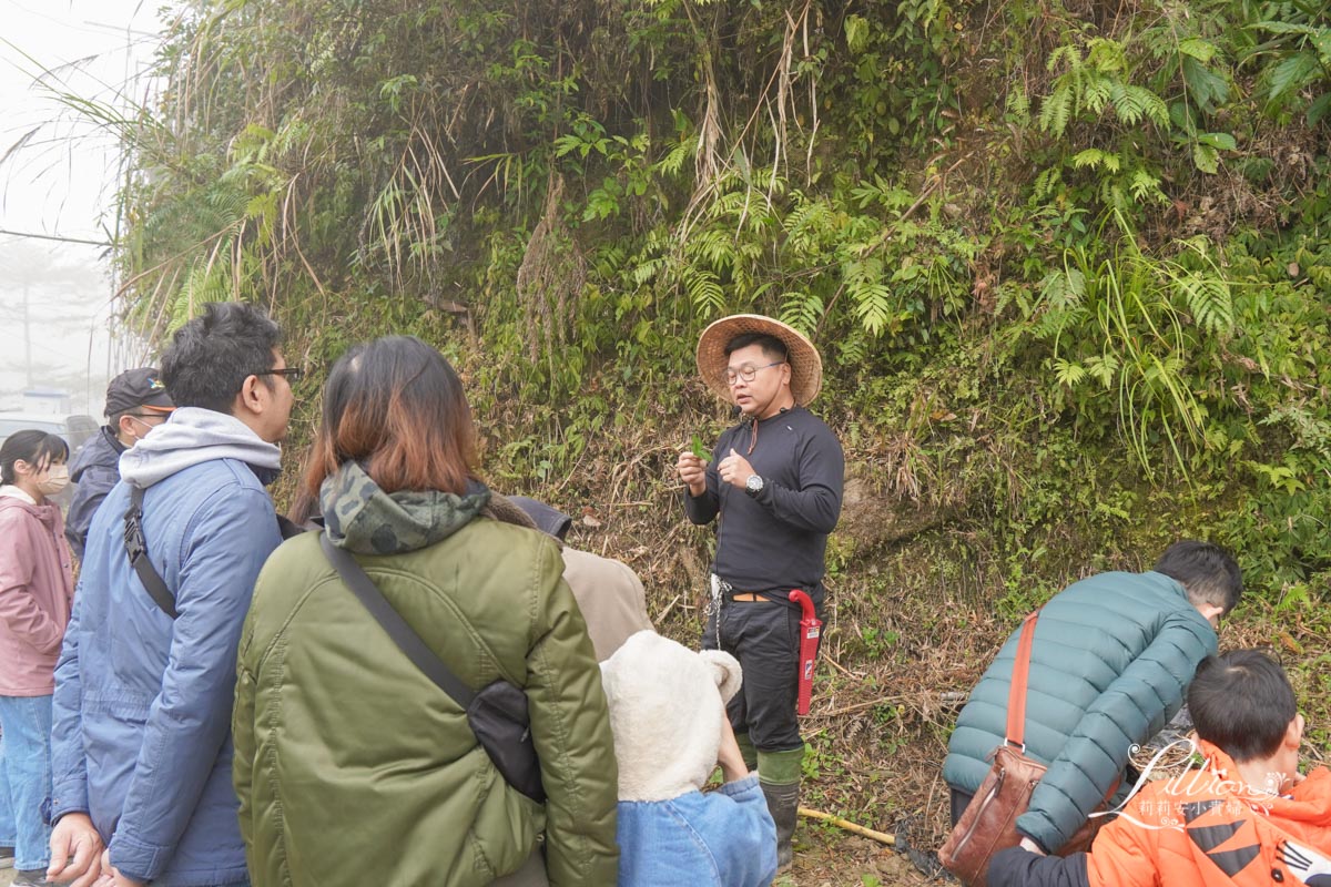 溪部好呆庄, 好呆庄, 南投野宿, 寵物友善住宿, 溪頭住宿, 溪頭民宿, 溪頭住宿推薦, 寵物友善民宿, 南投親子景點, 南投親子戶外