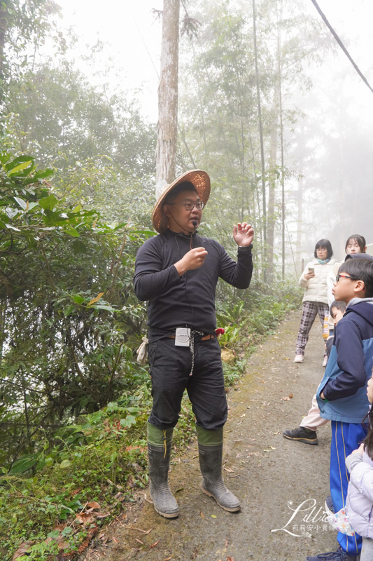 溪部好呆庄, 好呆庄, 南投野宿, 寵物友善住宿, 溪頭住宿, 溪頭民宿, 溪頭住宿推薦, 寵物友善民宿, 南投親子景點, 南投親子戶外