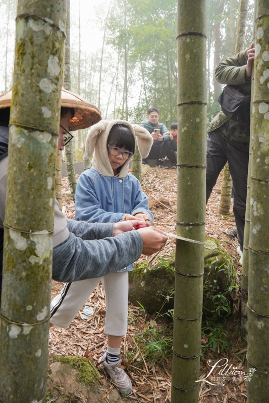 溪部好呆庄, 好呆庄, 南投野宿, 寵物友善住宿, 溪頭住宿, 溪頭民宿, 溪頭住宿推薦, 寵物友善民宿, 南投親子景點, 南投親子戶外